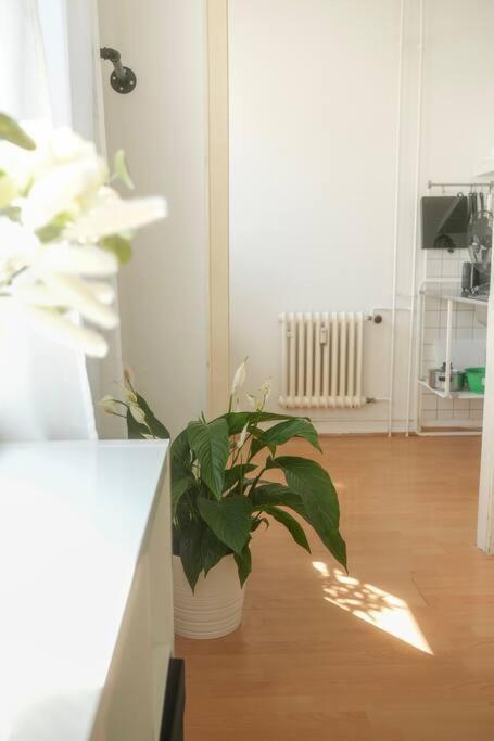 קובלנץ Stadtoase Wohnung Nahe Hauptbahnhof מראה חיצוני תמונה